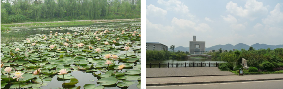 1512544535865509.png 图4.png
