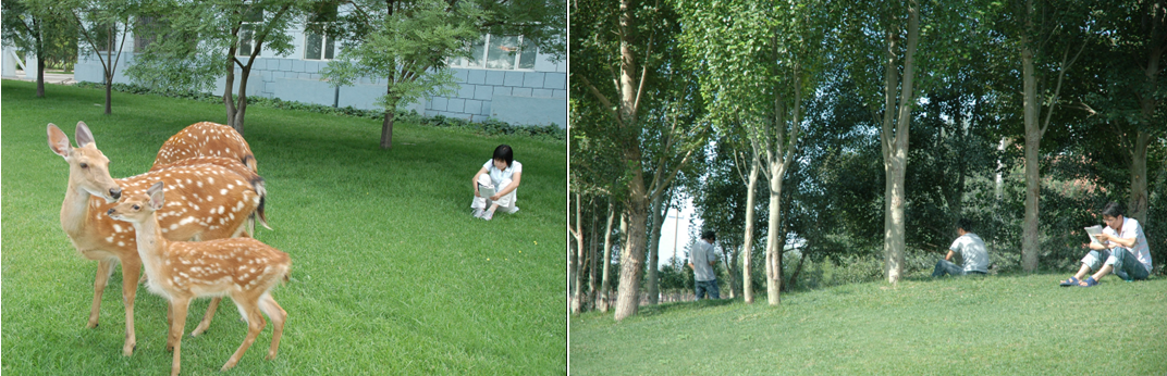 1513836352831217.png 图2.png